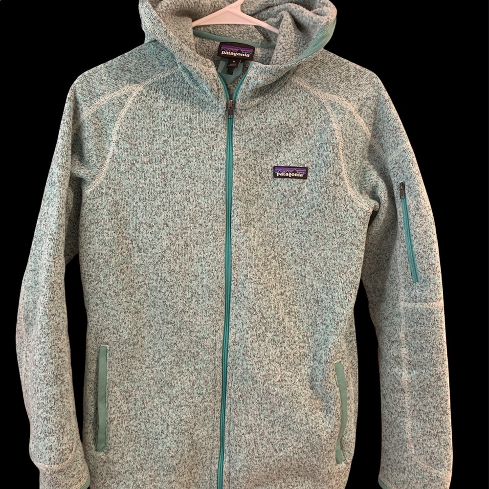 Patagonia better sweater